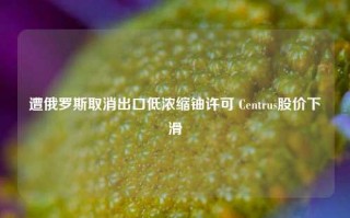 遭俄罗斯取消出口低浓缩铀许可 Centrus股价下滑