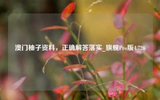 澳门柚子资料，正确解答落实_旗舰Pro版4.726