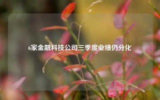 6家金融科技公司三季度业绩仍分化