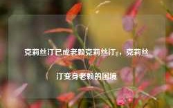 克莉丝汀已成老赖克莉丝汀g，克莉丝汀变身老赖的困境