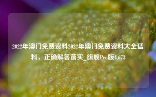 2022年澳门免费资料2022年澳门免费资料大全猛料，正确解答落实_旗舰Pro版4.673