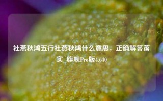 社燕秋鸿五行社燕秋鸿什么意思，正确解答落实_旗舰Pro版4.640