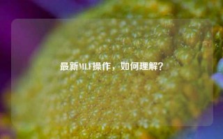 最新MLF操作，如何理解？