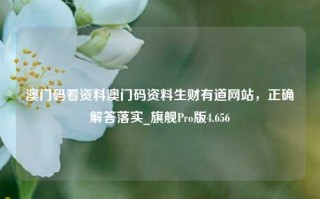 澳门码看资料澳门码资料生财有道网站，正确解答落实_旗舰Pro版4.656