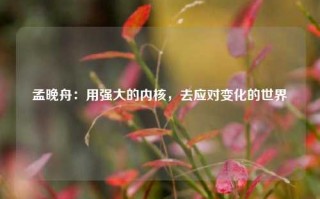 孟晚舟：用强大的内核，去应对变化的世界