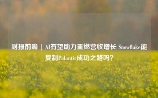 财报前瞻 | AI有望助力重燃营收增长 Snowflake能复制Palantir成功之路吗？