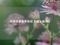 叮咚买菜盘中异动 大幅上涨5.00%