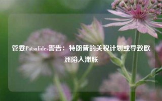 管委Patsalides警告：特朗普的关税计划或导致欧洲陷入滞胀