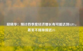 邱晓华：预计四季度经济增长有可能达到4.8%，甚至不排除接近5%