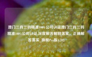 澳门三肖三码精准100%公司认证澳门三肖三码精准100%公司认证,深度解答解释落实，正确解答落实_旗舰Pro版4.702