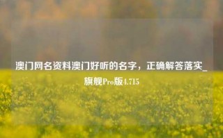 澳门网名资料澳门好听的名字，正确解答落实_旗舰Pro版4.715