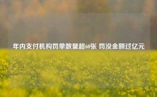 年内支付机构罚单数量超60张 罚没金额过亿元