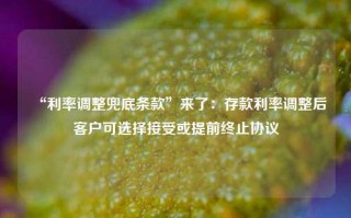 “利率调整兜底条款”来了：存款利率调整后客户可选择接受或提前终止协议