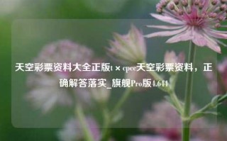 天空彩票资料大全正版t×cpcc天空彩票资料，正确解答落实_旗舰Pro版4.644