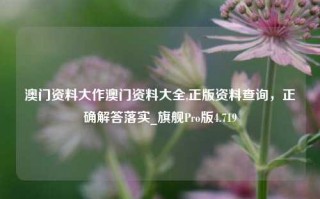 澳门资料大作澳门资料大全,正版资料查询，正确解答落实_旗舰Pro版4.719