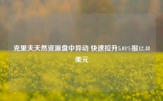 克里夫天然资源盘中异动 快速拉升5.01%报12.48美元