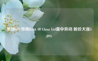 美国OTC市场Bank Of China Ltd盘中异动 股价大涨5.89%