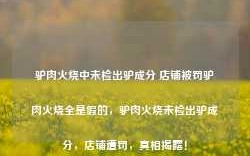 驴肉火烧中未检出驴成分 店铺被罚驴肉火烧全是假的，驴肉火烧未检出驴成分，店铺遭罚，真相揭露！