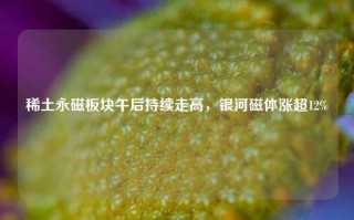 稀土永磁板块午后持续走高，银河磁体涨超12%