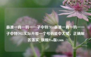 最准一肖一码一一子中特7955最准一肖一码一一子中特7955实际开那一个号码能中大奖，正确解答落实_旗舰Pro版4.666