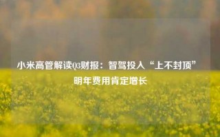 小米高管解读Q3财报：智驾投入“上不封顶” 明年费用肯定增长