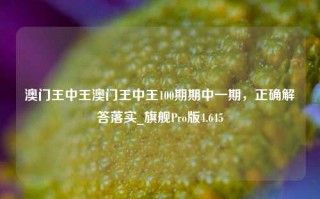 澳门王中王澳门王中王100期期中一期，正确解答落实_旗舰Pro版4.645