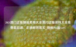 2024澳门正版精准免费大全澳门正版资料大全免费歇后语，正确解答落实_旗舰Pro版4.697