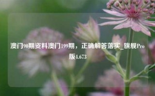 澳门90期资料澳门199期，正确解答落实_旗舰Pro版4.673