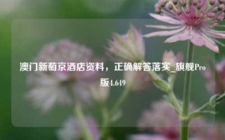 澳门新萄京酒店资料，正确解答落实_旗舰Pro版4.649