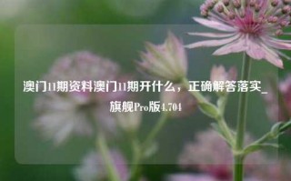 澳门11期资料澳门11期开什么，正确解答落实_旗舰Pro版4.704