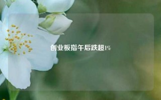 创业板指午后跌超1%