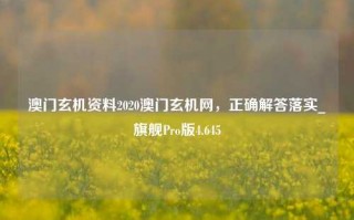 澳门玄机资料2020澳门玄机网，正确解答落实_旗舰Pro版4.645