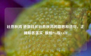 社燕秋鸿 道阻且长社燕秋鸿的意思和造句，正确解答落实_旗舰Pro版4.671