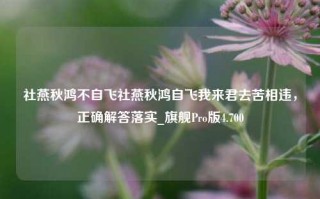 社燕秋鸿不自飞社燕秋鸿自飞我来君去苦相违，正确解答落实_旗舰Pro版4.700