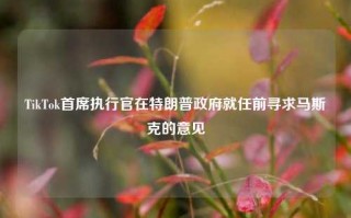 TikTok首席执行官在特朗普政府就任前寻求马斯克的意见