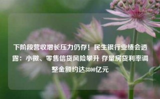 下阶段营收增长压力仍存！民生银行业绩会透露：小微、零售信贷风险攀升 存量房贷利率调整金额约达3800亿元