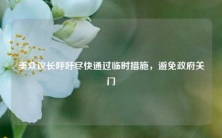 美众议长呼吁尽快通过临时措施，避免政府关门