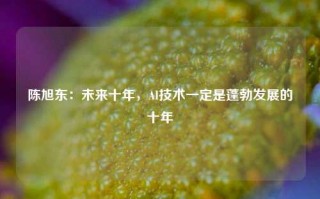 陈旭东：未来十年，AI技术一定是蓬勃发展的十年