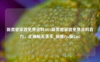 新奥管家婆免费资料2O24新奥管家婆免费资料官方，正确解答落实_旗舰Pro版4.662