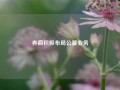 券商积极布局公募业务