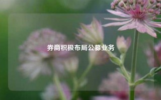 券商积极布局公募业务