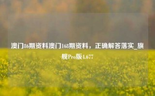 澳门86期资料澳门168期资料，正确解答落实_旗舰Pro版4.677