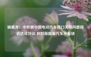 杨德龙：中欧就中国电动汽车进口关税问题接近达成协议 利好新能源汽车等板块