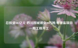 总投资105亿元 四川国城锂业20万吨/年锂盐项目一期工程开工