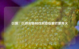 以媒：以政府临时性同意在黎巴嫩停火