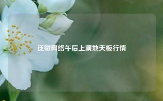 泛微网络午后上演地天板行情