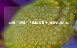 061澳门资料，正确解答落实_旗舰Pro版4.663