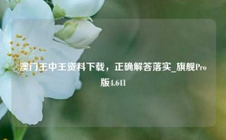 澳门王中王资料下载，正确解答落实_旗舰Pro版4.641