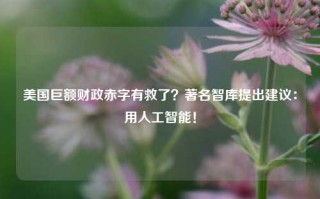 美国巨额财政赤字有救了？著名智库提出建议：用人工智能！