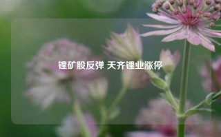 锂矿股反弹 天齐锂业涨停